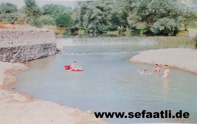 PICT0020
