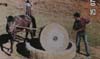 Millet